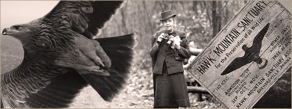 Rosalie Edge at Hawk Mountain Sanctuary