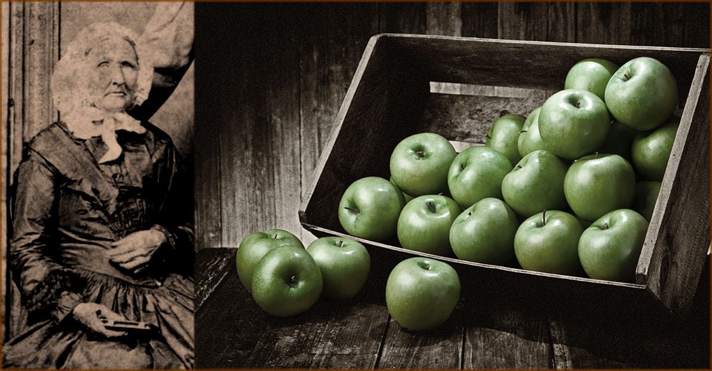 Granny Smith: the apple that Sydney gave the world